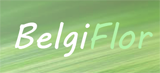 BelgiFlor